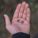 Oxford FilterBuds Ear Plugs