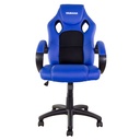Bike-It Rider Chair