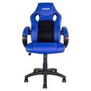 Bike-It Rider Chair