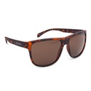 Oxford Sahara Sunglasses