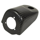 Caterham Carbon Fibre Indicator Mounts