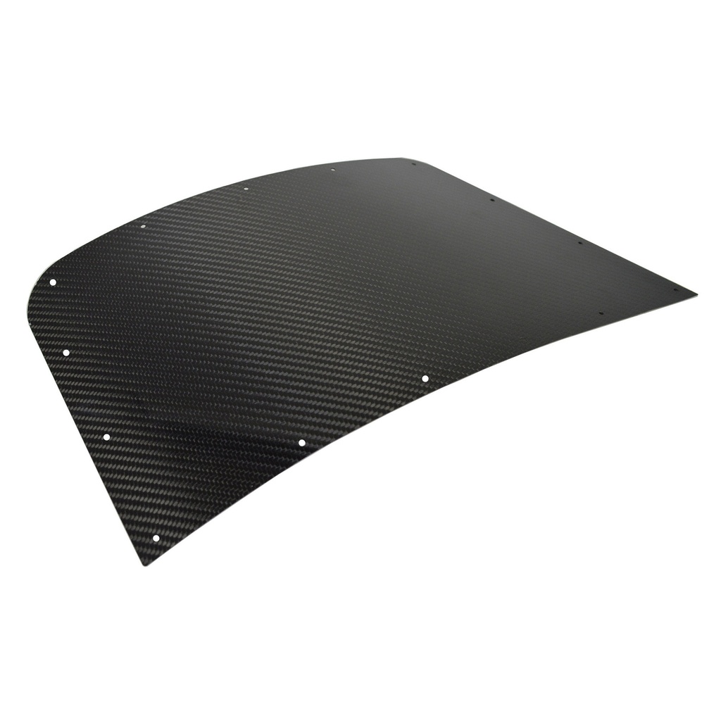 Caterham Carbon Fibre Wing Protector