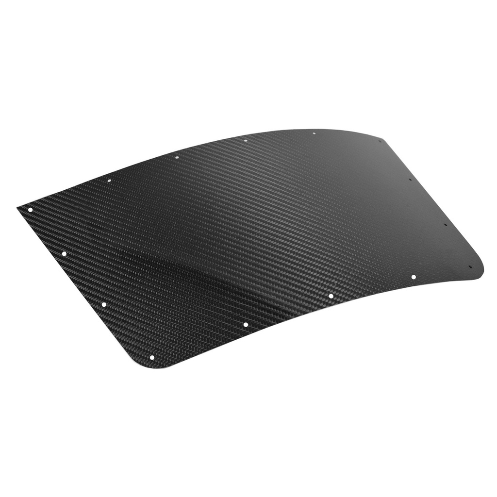 Caterham Carbon Fibre Wing Protector