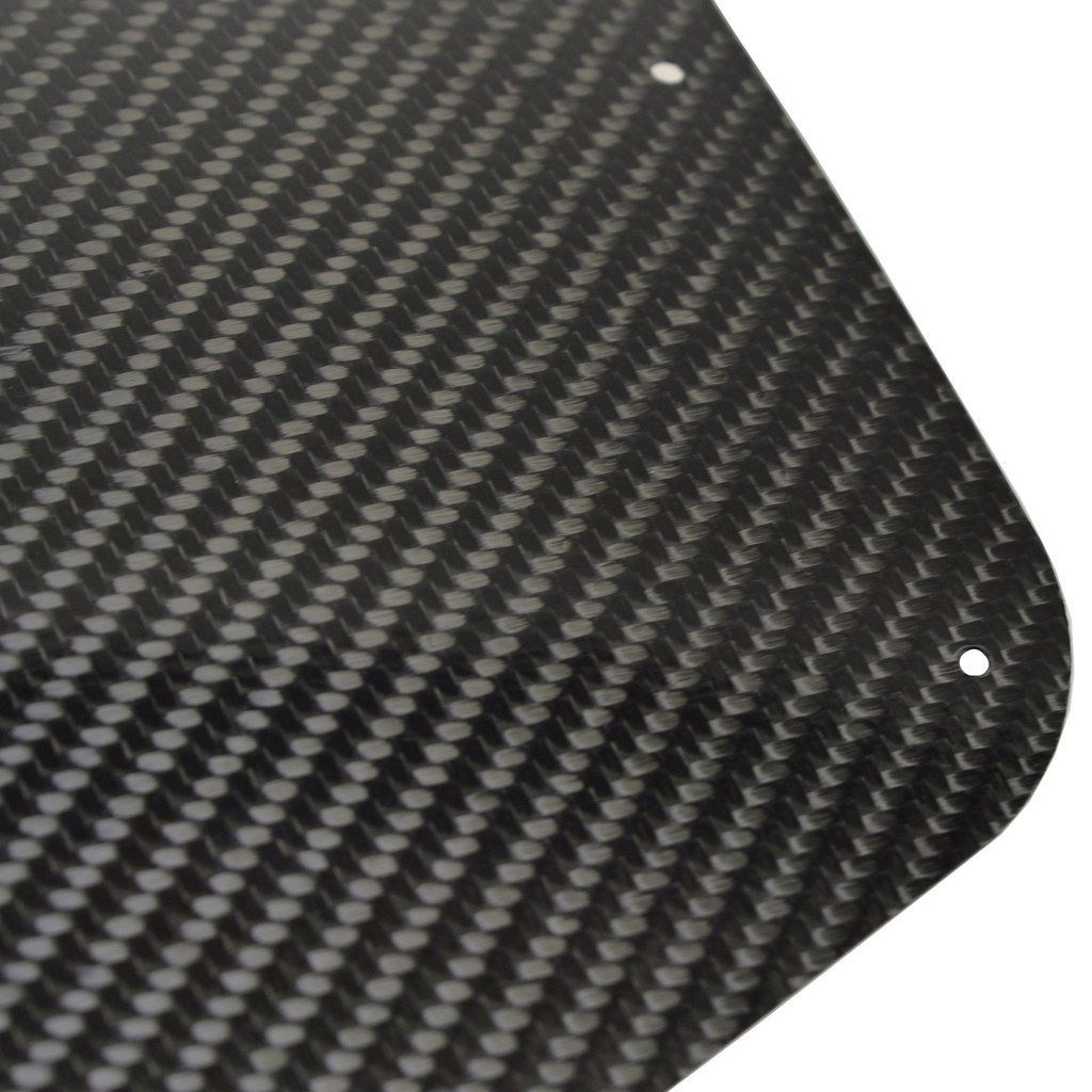 Caterham Carbon Fibre Wing Protector