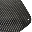 Caterham Carbon Fibre Wing Protector