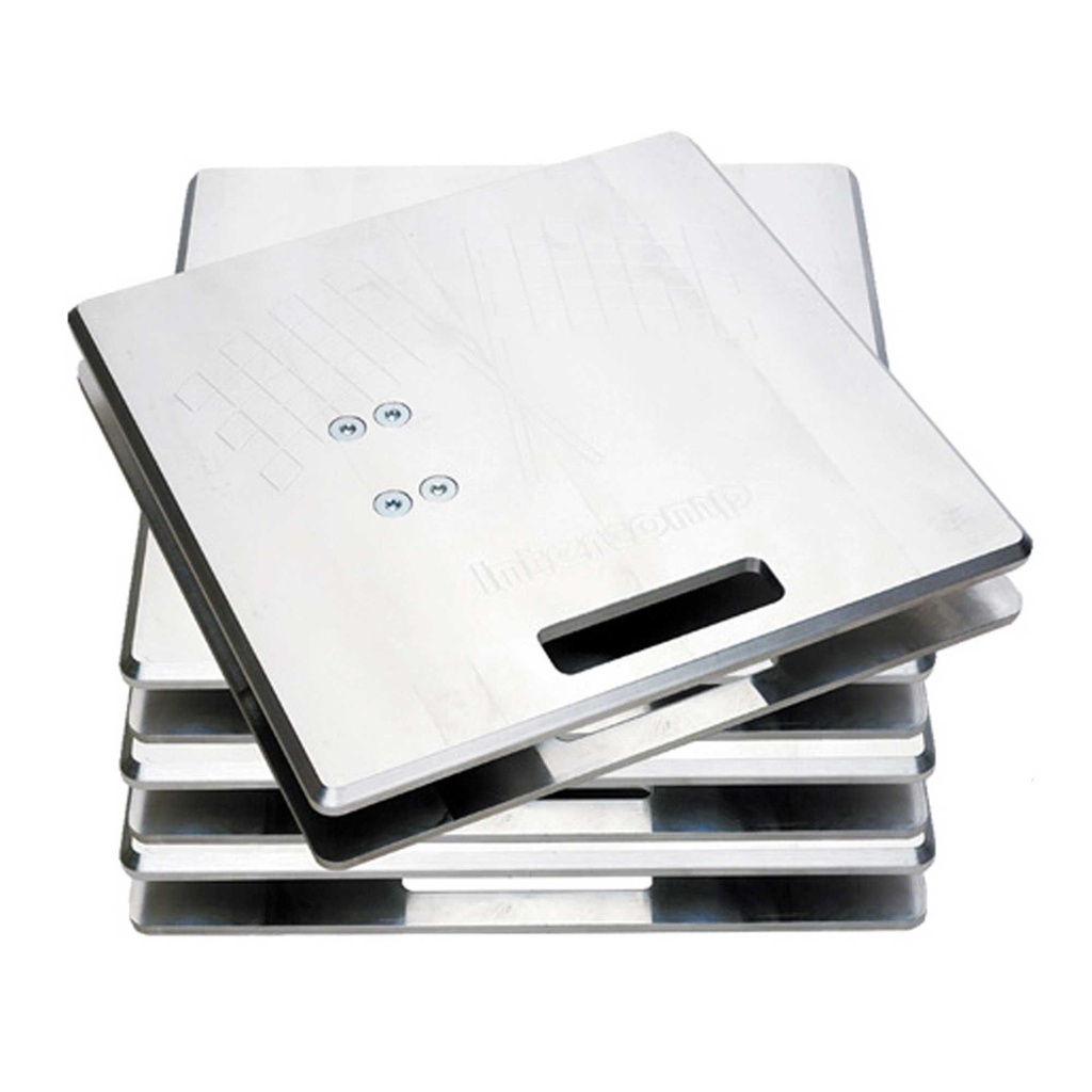 Intercomp SW650RFX Wireless Quik Weigh Computer Scales System