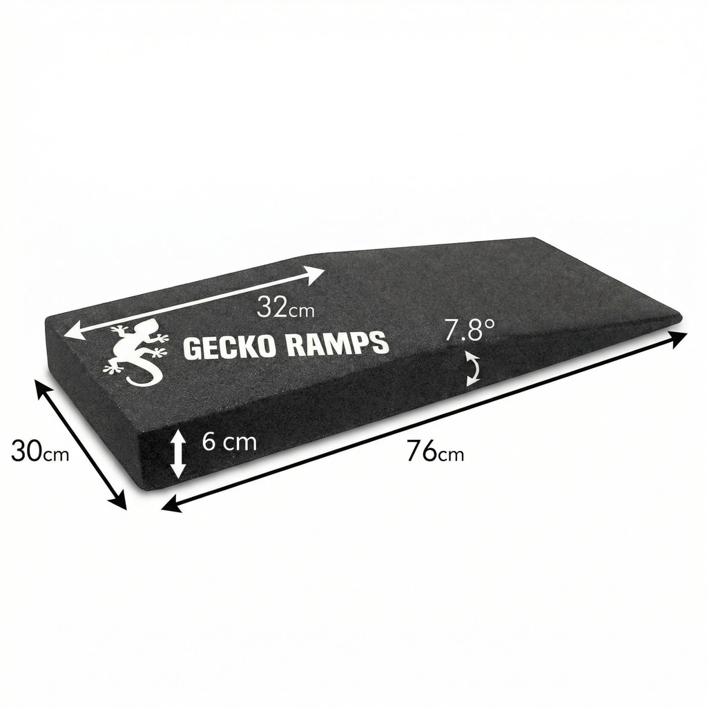 Gecko Ramps Scale Ramps