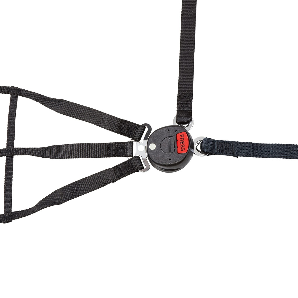 Schroth 5 Point Push Button Interior Safety Net