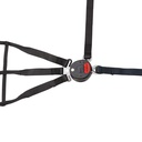 Schroth 5 Point Push Button Interior Safety Net
