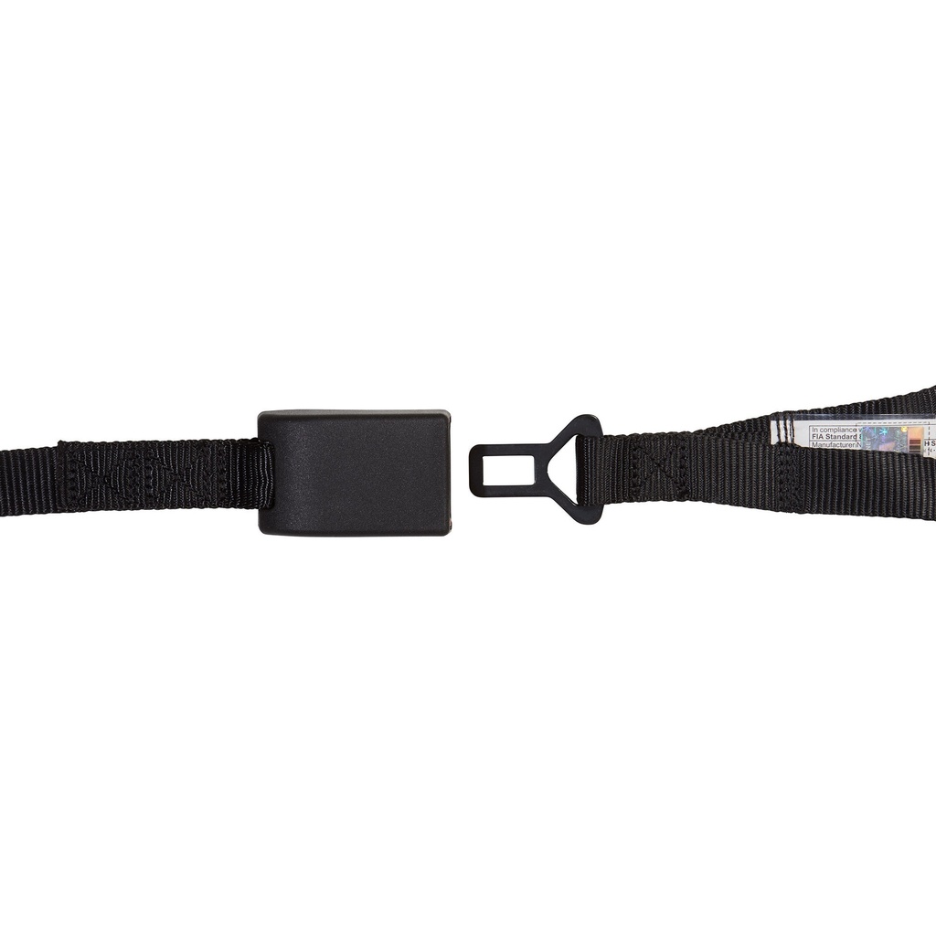 Schroth Roll Cage Net