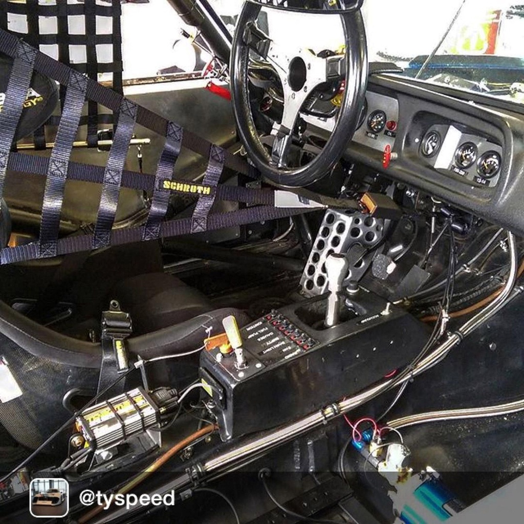 Schroth Roll Cage Net