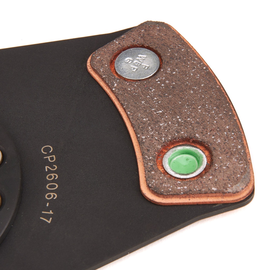 AP Racing 7.25" Cerametallic Drive Plate