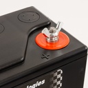 Varley Red Top 30 Battery