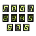Cartek Gear Position Indicator With Shift Light
