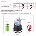 Automotive Plumbing Solutions Waterproof Engine Start Push Button Switch