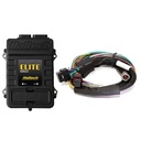 Haltech Elite 2500 ECU