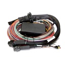 Haltech Universal Wiring Harness For Elite Model ECUs