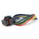 Link Engine Management ECU Wiring Loom