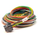 Link Engine Management ECU Wiring Loom