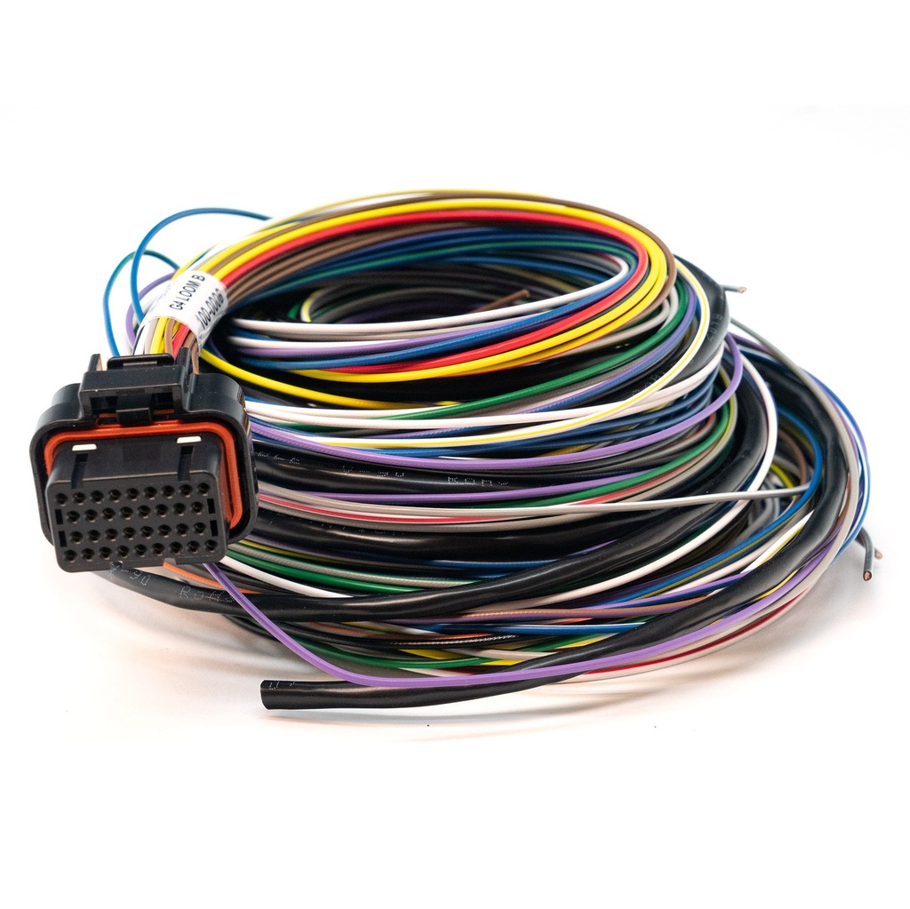 Link Engine Management ECU Wiring Loom