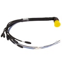 AIM EVO6 & EVO5 Standard / Optional Harness