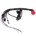AIM EVO6 & EVO5 Standard / Optional Harness