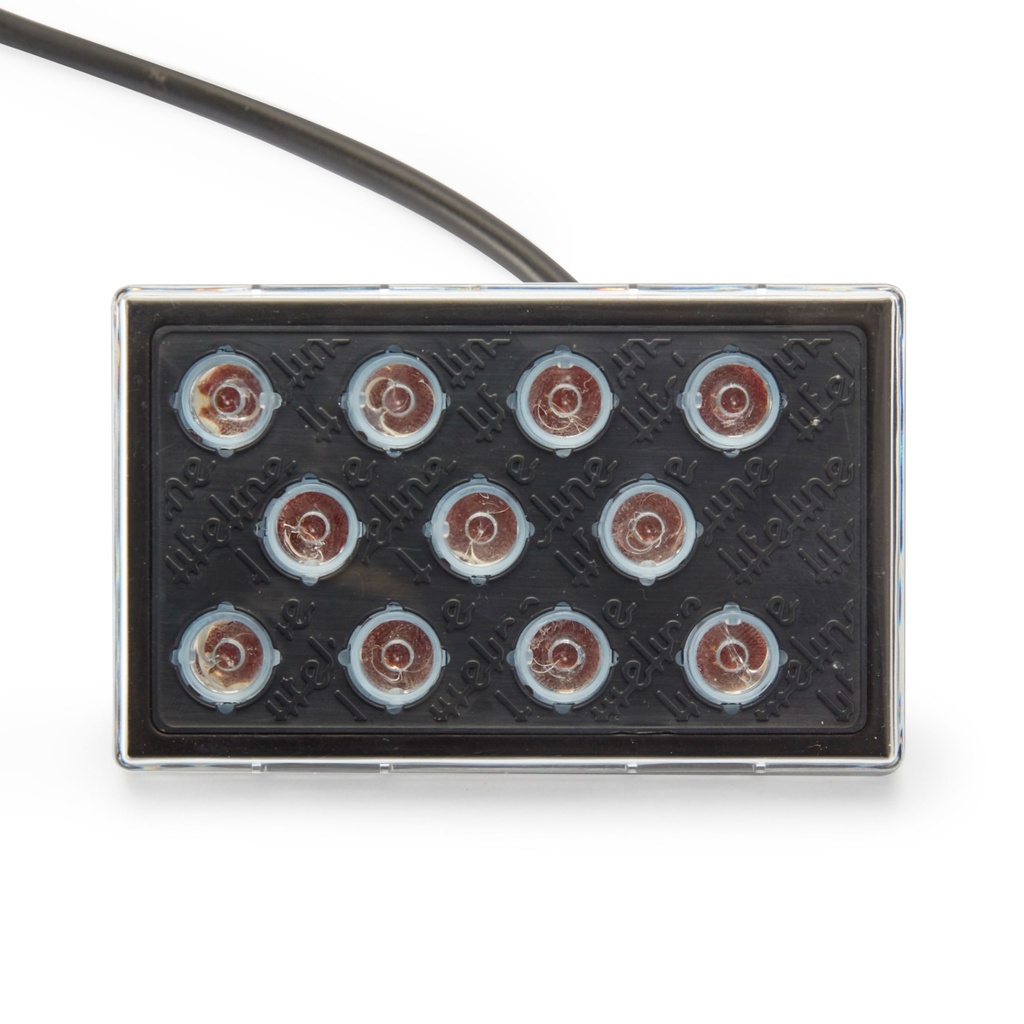 Lifeline High Intensity LED Rainlight