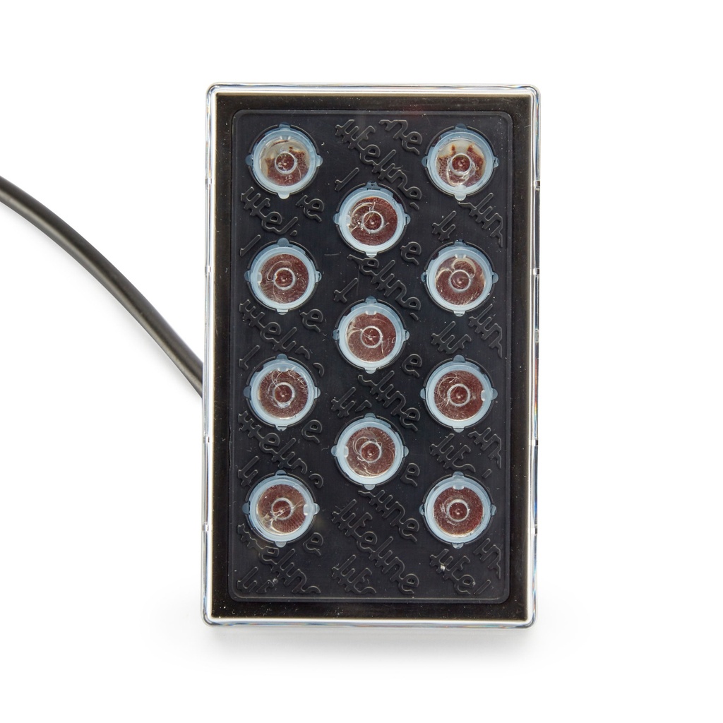 Lifeline High Intensity LED Rainlight