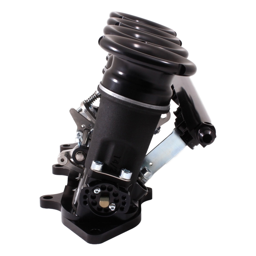 AT Power Direct To Head Throttle Body Kit With ME221 ECU & Loom - Ford Zetec