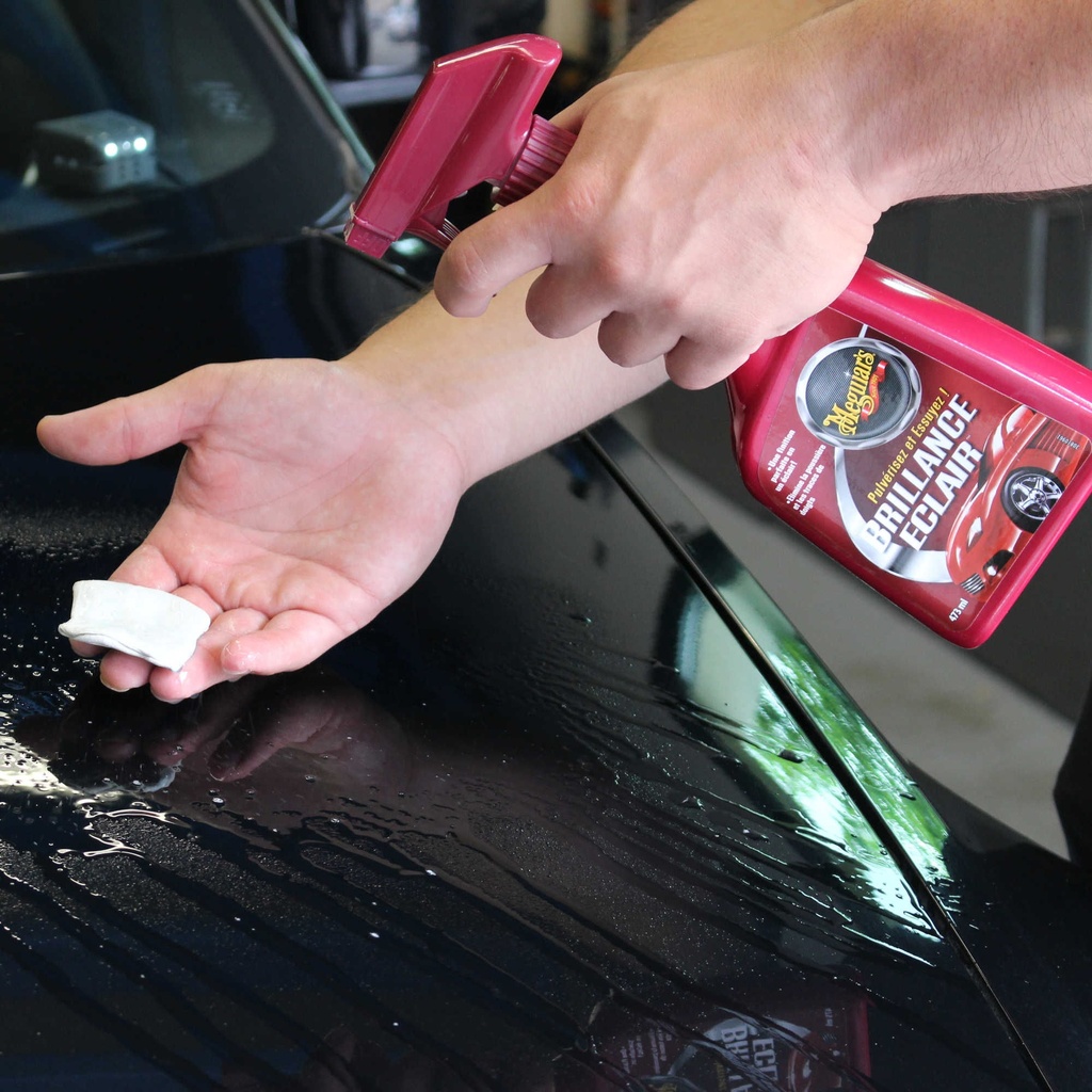 Meguiar's Quik Clay Starter Kit