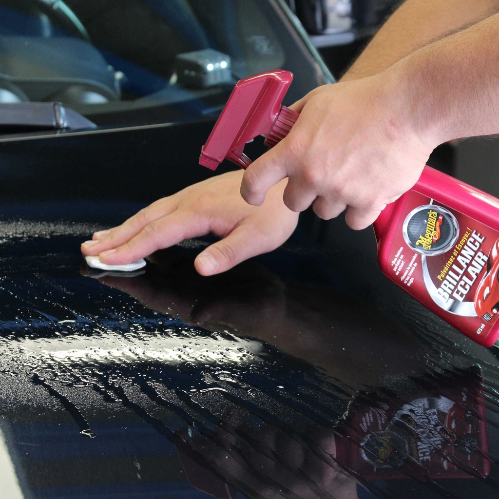 Meguiar's Quik Clay Starter Kit