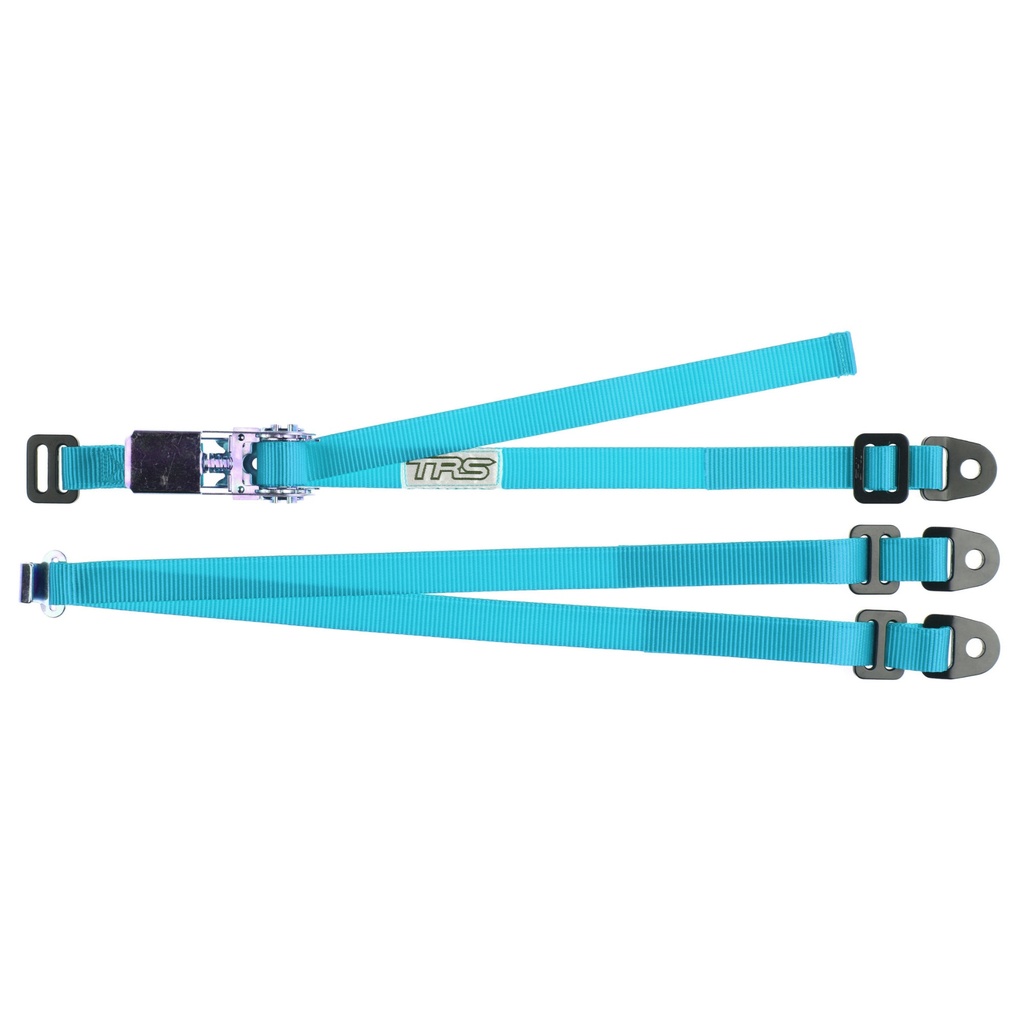 TRS Spare Wheel Tie Down Strap