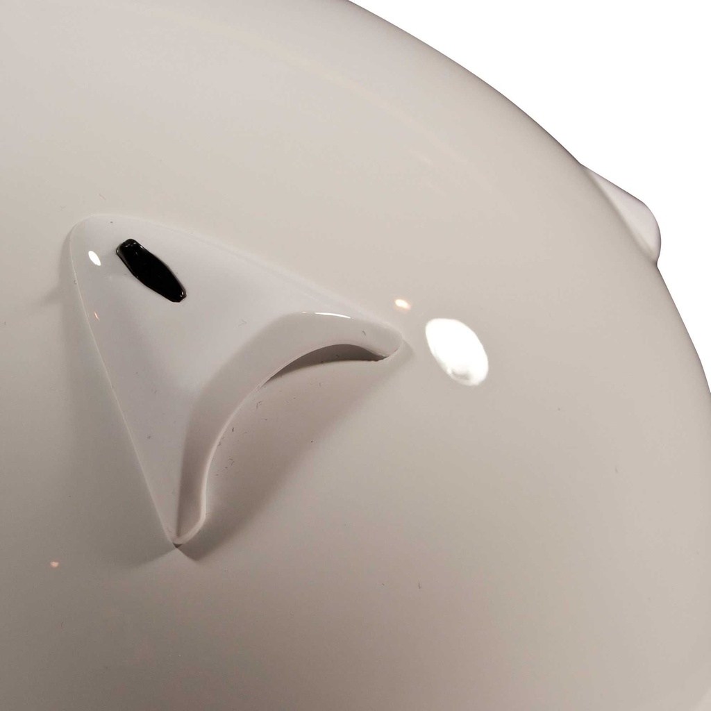 Arai GP-5W Helmet