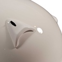 Arai GP-5W Helmet