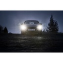 Ring Xenon220 Headlight Bulbs (Pair)