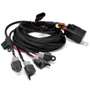 Lazer Lamps Wiring Harness