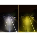 Lazer Lamps Amber Lens For ST / T Evolution Lamp