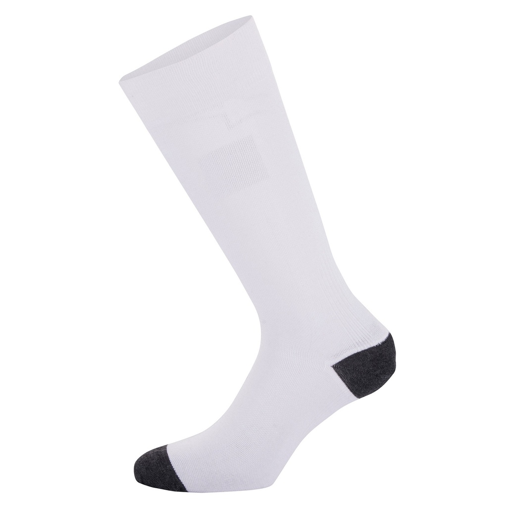 Alpinestars ZX Evo V4 Socks