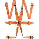 TRS Magnum Standard / Superlite / Ultralite 6 Point FHR Harness