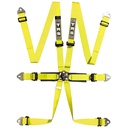 TRS Pro International Standard / Superlite / Ultralite 6 Point Saloon Harness