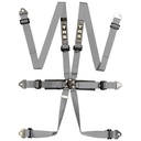 TRS Pro International Standard / Superlite / Ultralite 6 Point Saloon Harness