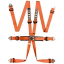 TRS Pro International Standard / Superlite / Ultralite 6 Point Saloon Harness