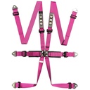 TRS Pro International Standard / Superlite / Ultralite 6 Point Saloon Harness