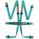 TRS Pro International Standard / Superlite / Ultralite 6 Point Saloon Harness