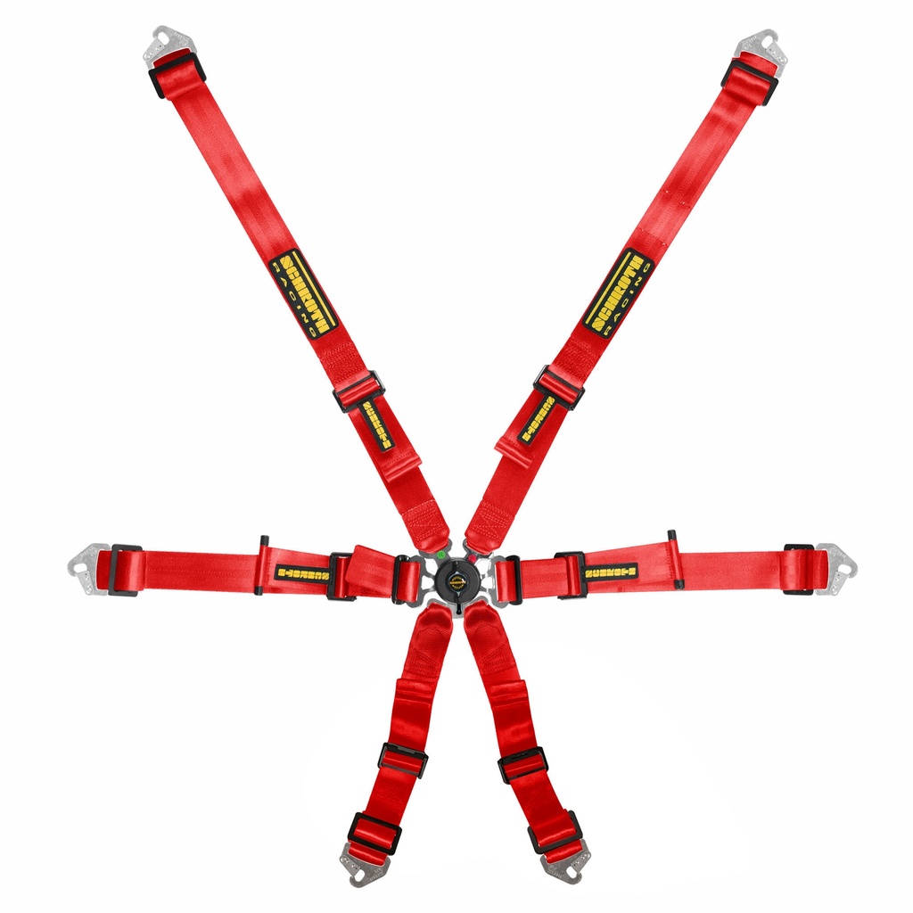 Schroth Flexi 2x2 Harness