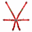 Schroth Flexi 2x2 Harness