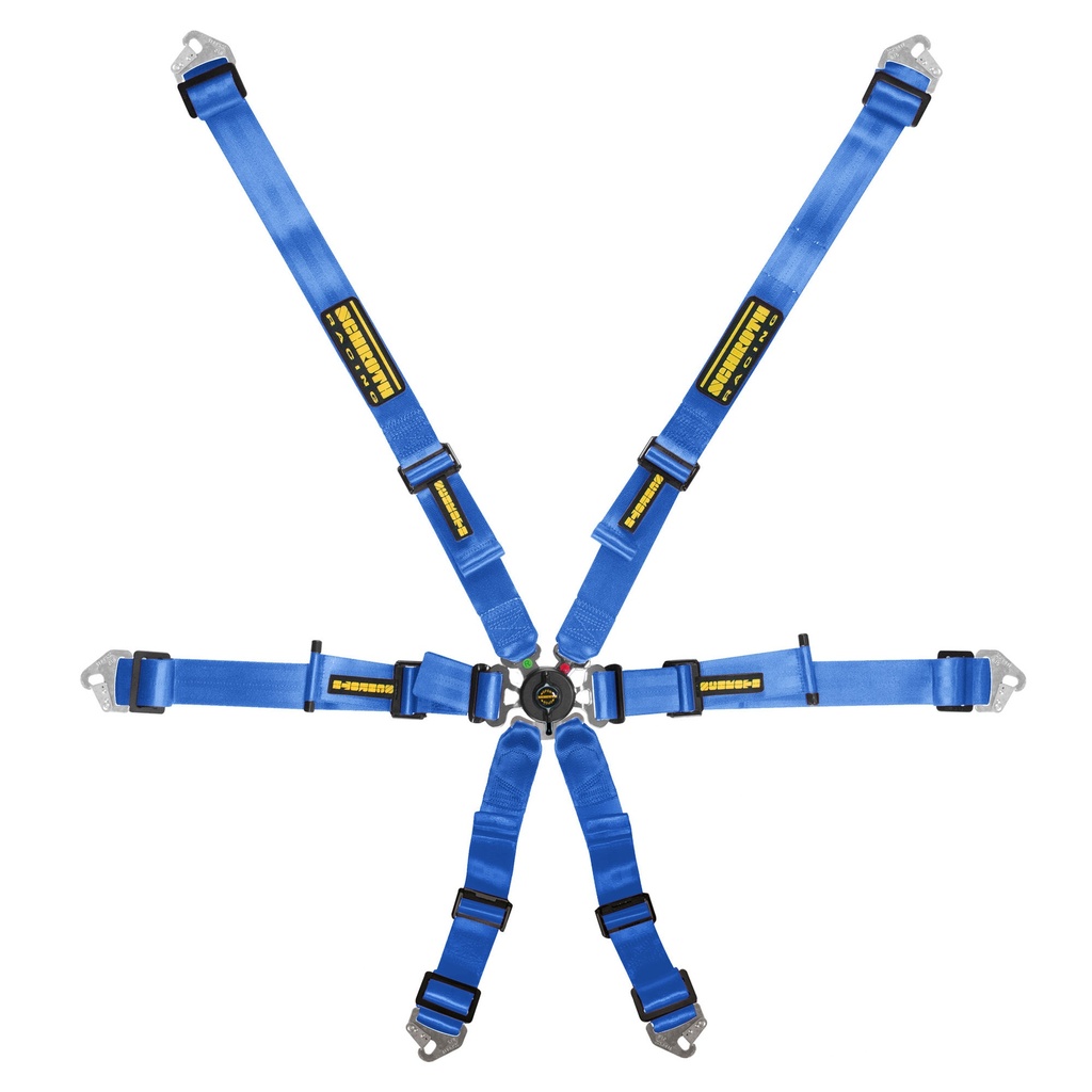 Schroth Flexi 2x2 Harness