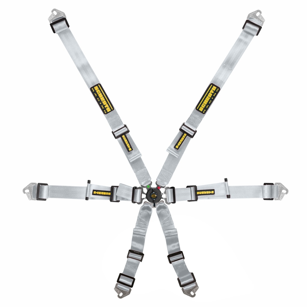 Schroth Flexi 2x2 Harness