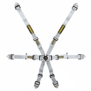 Schroth Flexi 2x2 Harness