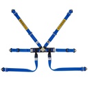 Sabelt Steel Formula Basic 6 Point Harness
